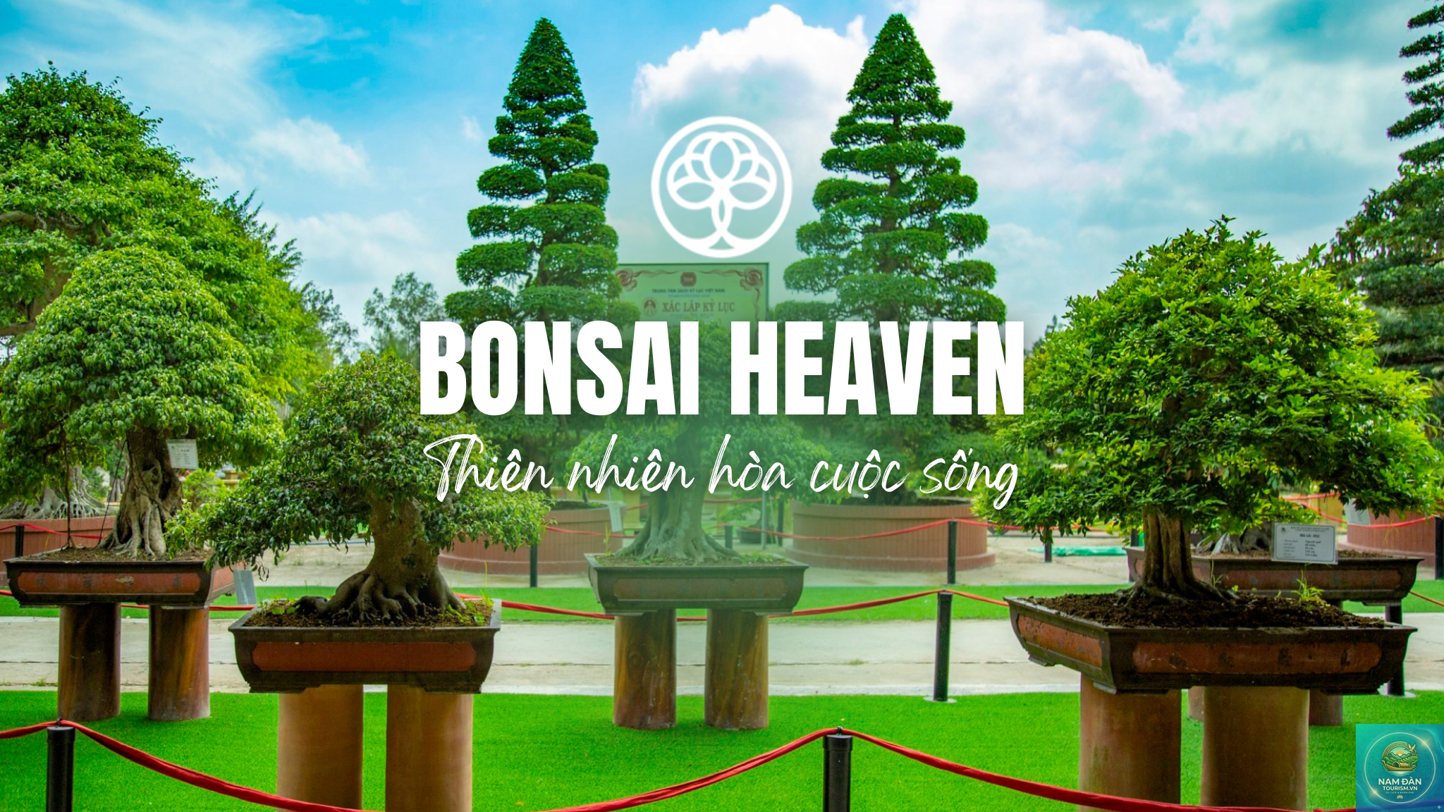 vườn kiểng bonsai sa đéc - Hình 2