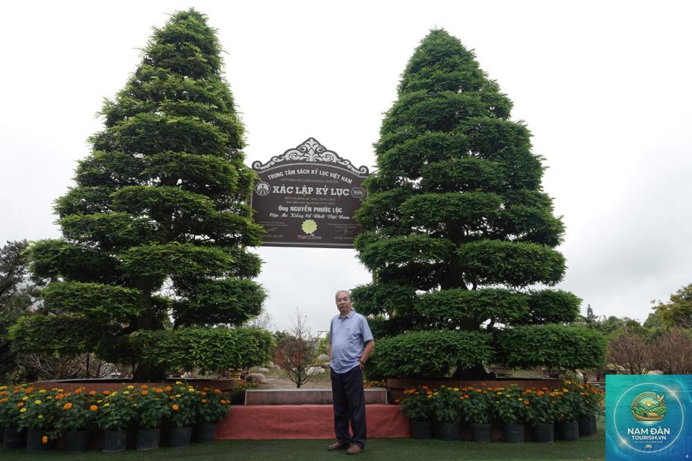 vườn kiểng bonsai sa đéc - Hình 4