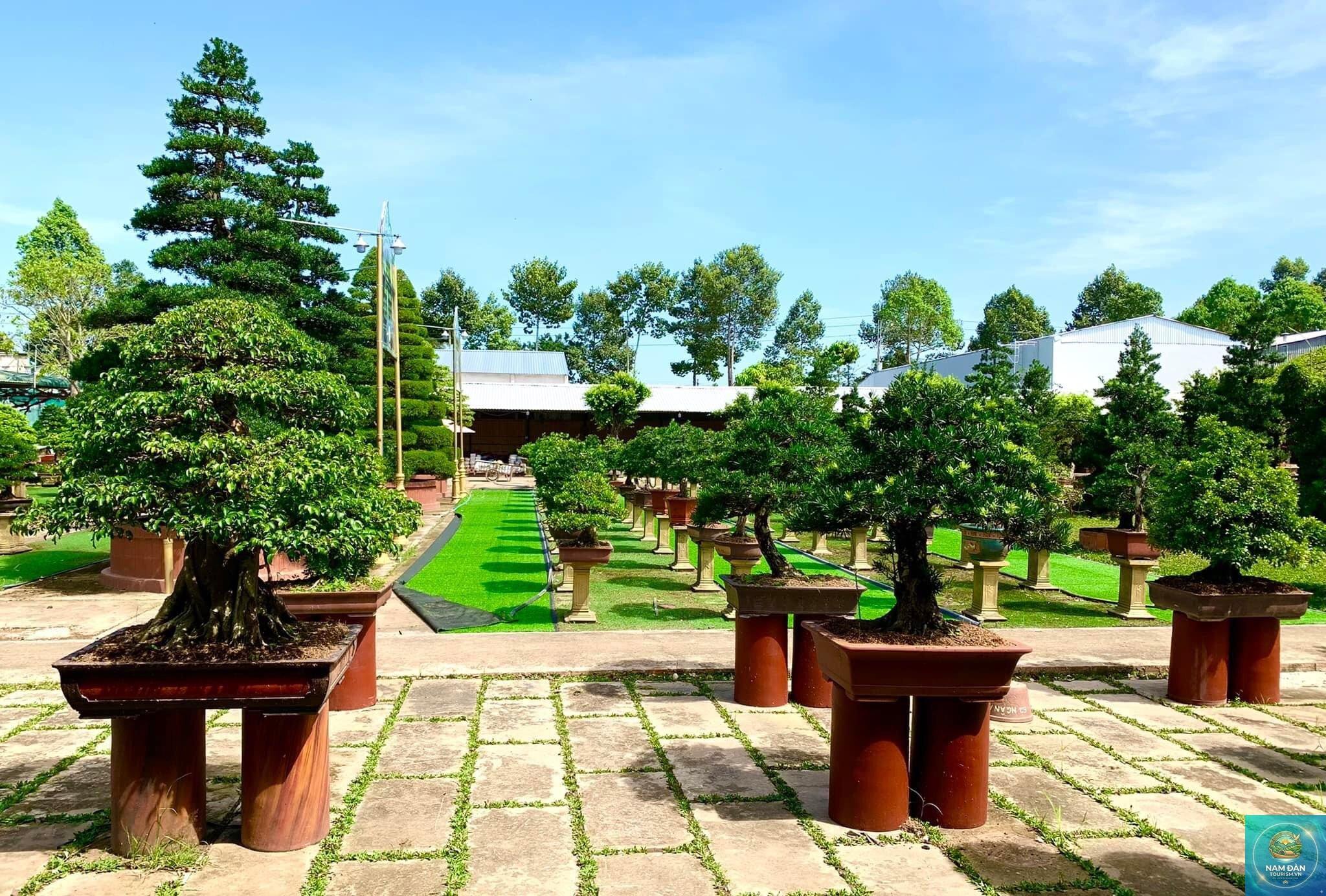 vườn kiểng bonsai sa đéc - Hình 5