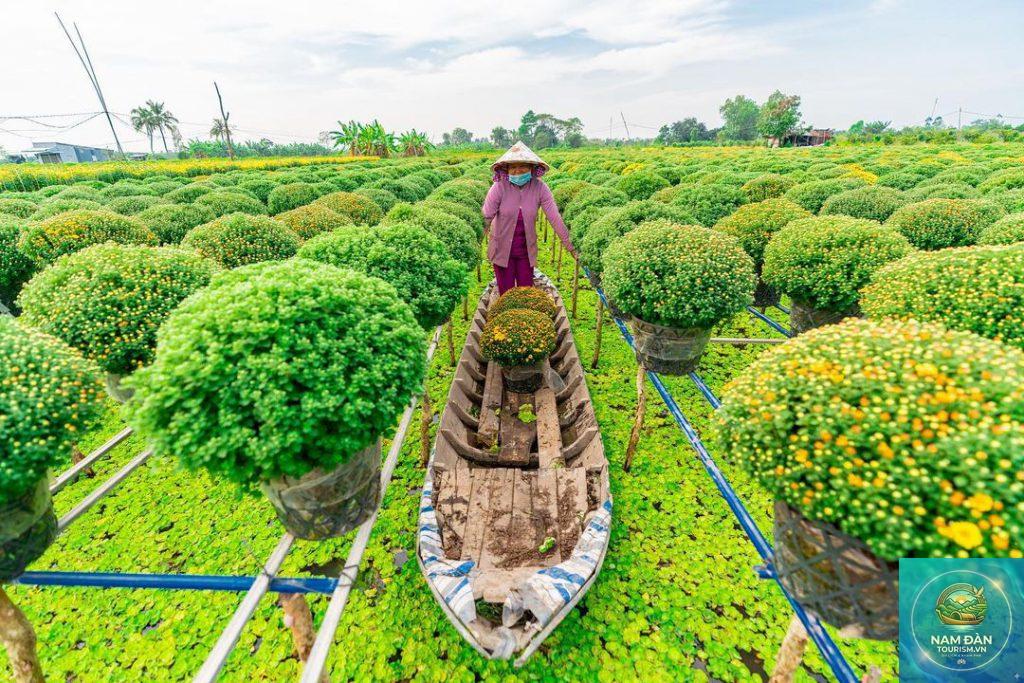 vườn kiểng tứ quý sa đéc - Hình 3