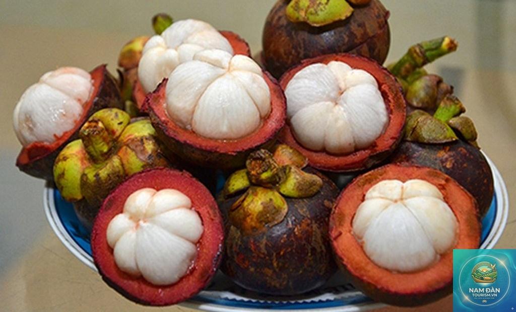 vườn măng cụt chợ lách - Hình 5