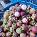 vườn măng cụt vĩnh long