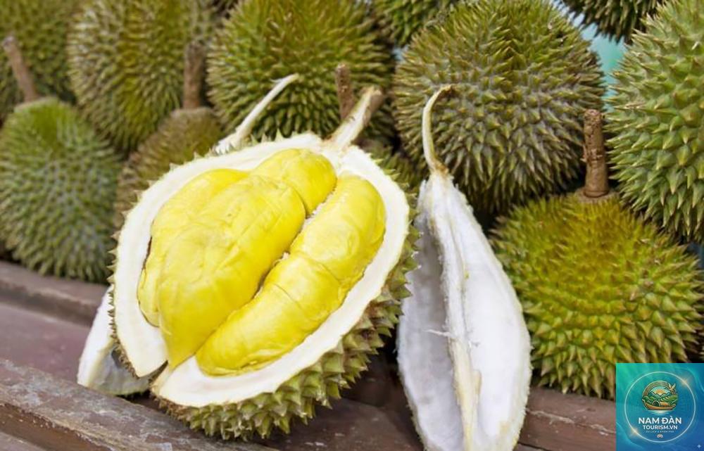 vườn sầu riêng ngũ hiệp - Hình 3