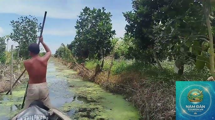 vườn sầu riêng phụng hiệp - Hình 2