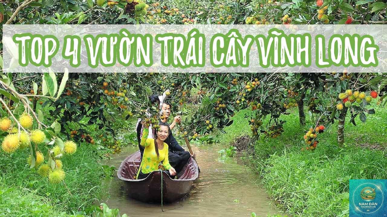 vườn sầu riêng vĩnh long - Hình 2