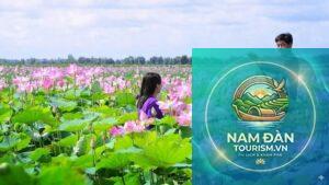 vườn sen hồng ngự