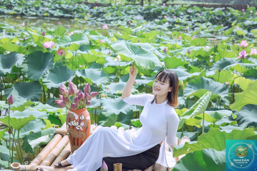 vườn sen tam nông - Hình 2