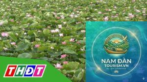 vườn sen tam nông