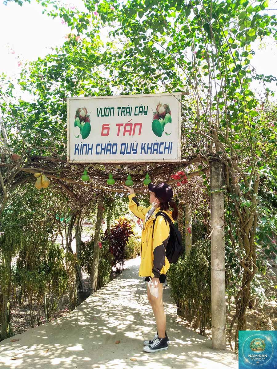 vườn trái cây an bình - Hình 4