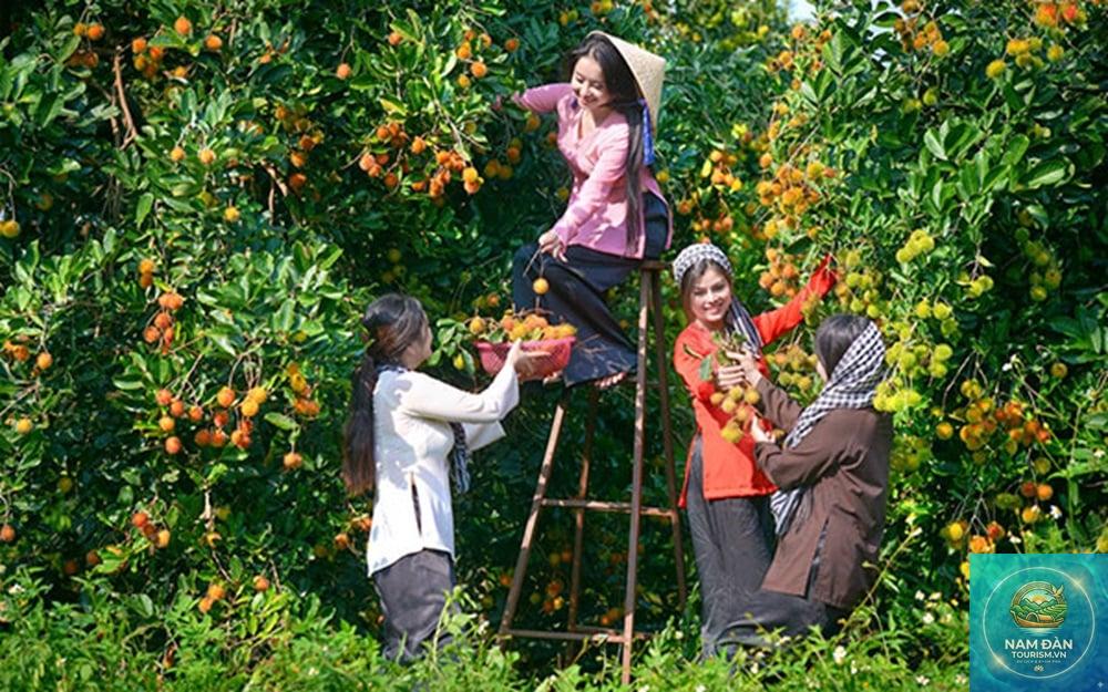 vườn trái cây chín hồng - Hình 3