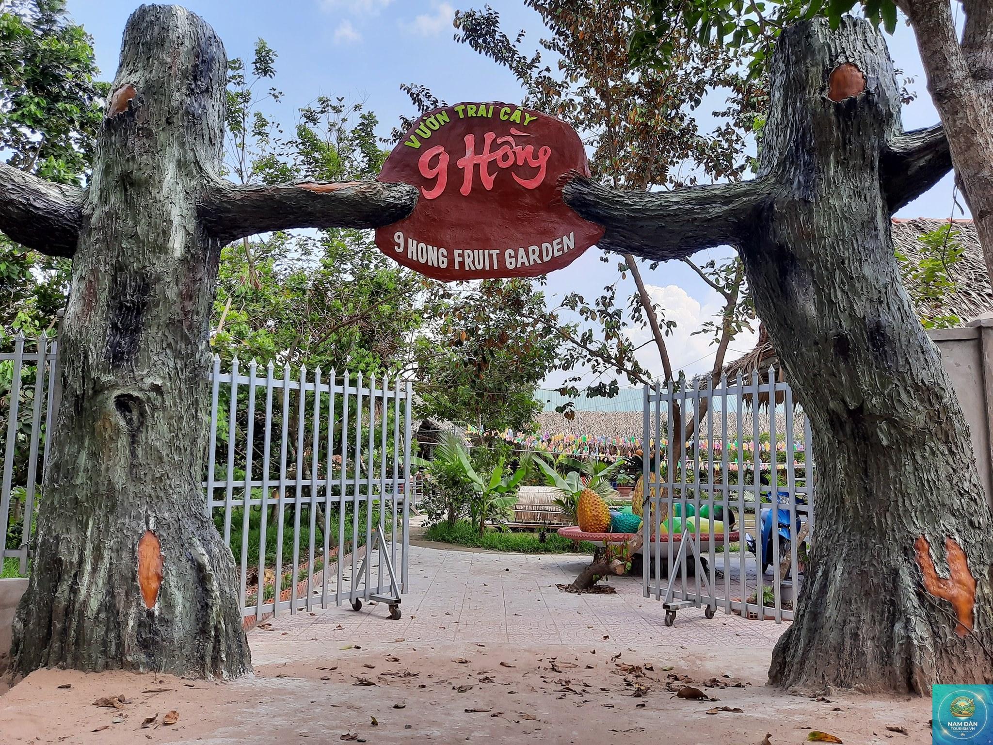 vườn trái cây chín hồng - Hình 4
