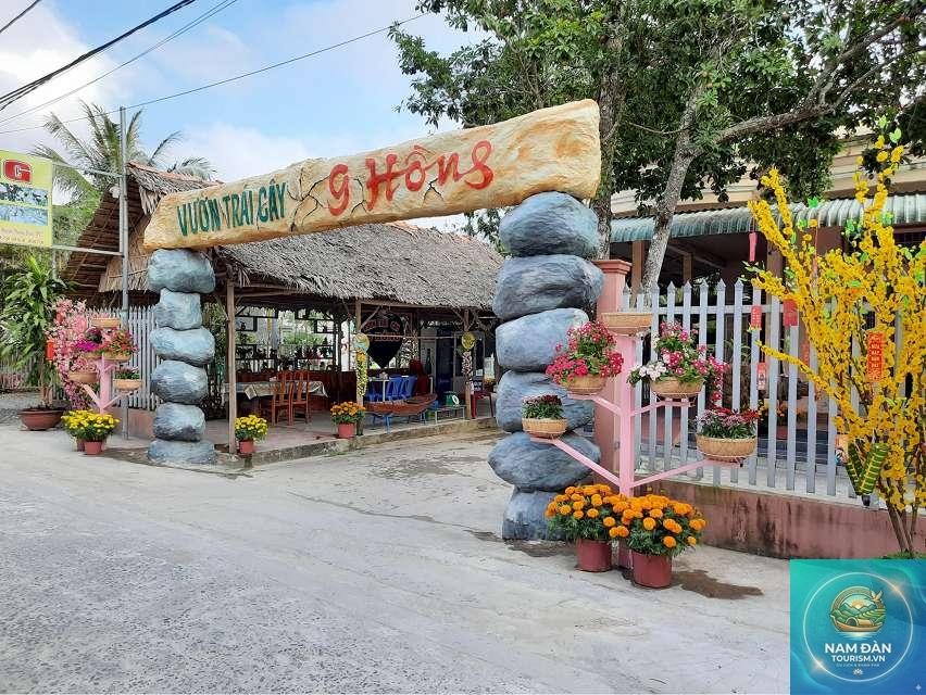 vườn trái cây chín hồng