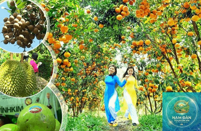 vườn trái cây mỹ khánh - Hình 2