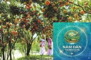 vườn trái cây mỹ khánh