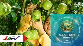vườn vú sữa lò rèn vĩnh kim - Hình 5