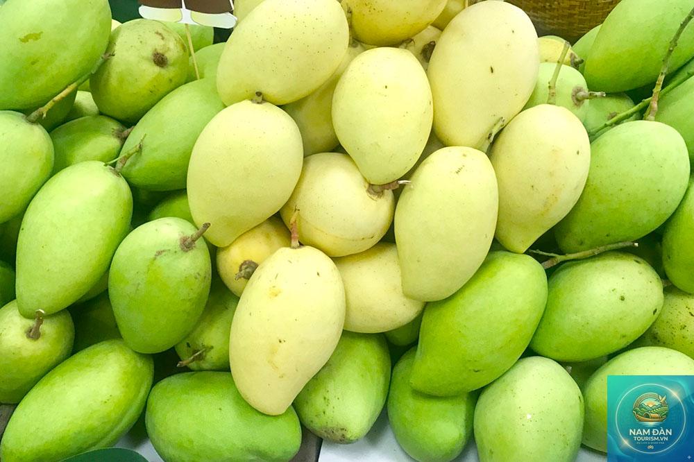 vườn xoài cát chu cao lãnh - Hình 4