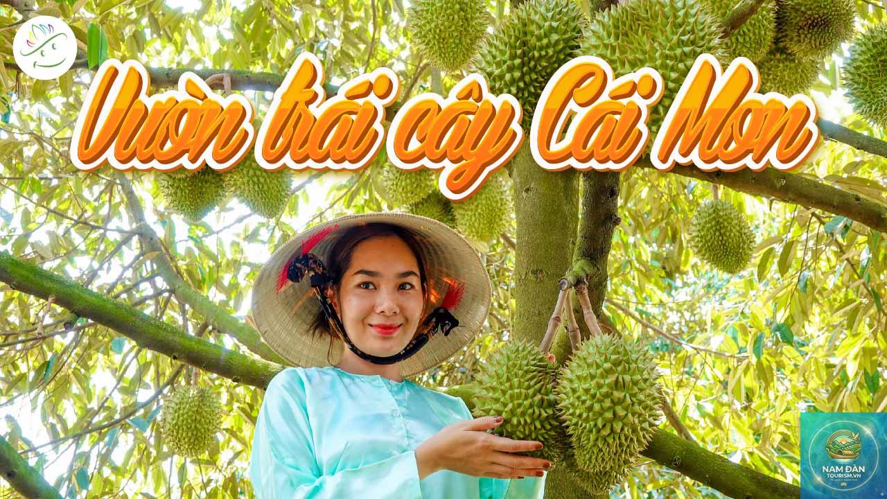 vương quốc trái cây cái mơn - Hình 3