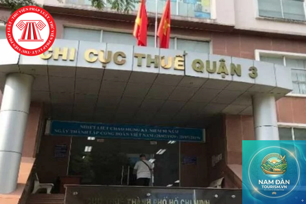 Chi cục Thuế Quận 3 - Hình 3