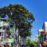 Đường Cao Thắng Quận 3: Vị Trí Đắc Địa, Tiện Ích Vượt Trội Và Cơ Hội Đầu Tư Hấp Dẫn Đường Cao Thắng Quận 3