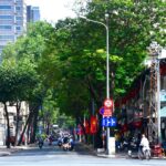 Đường Pasteur Quận 3: Vị Trí Vàng, Tiện Ích Vượt Trội Và Tiềm Năng Bất Động Sản Đường Pasteur Quận 3