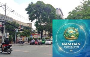 Ngã tư Nguyễn Đình Chiểu – Cách Mạng Tháng Tám Quận 3