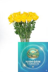 hoa cúng