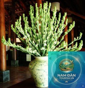 thay hoa bàn thờ